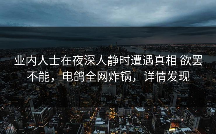 业内人士在夜深人静时遭遇真相 欲罢不能,电鸽全网炸锅,详情发现