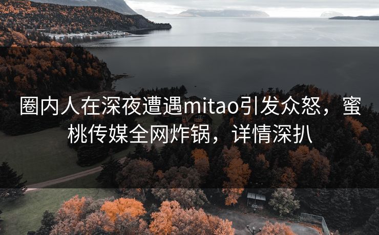 圈内人在深夜遭遇mitao引发众怒,蜜桃传媒全网炸锅,详情深扒