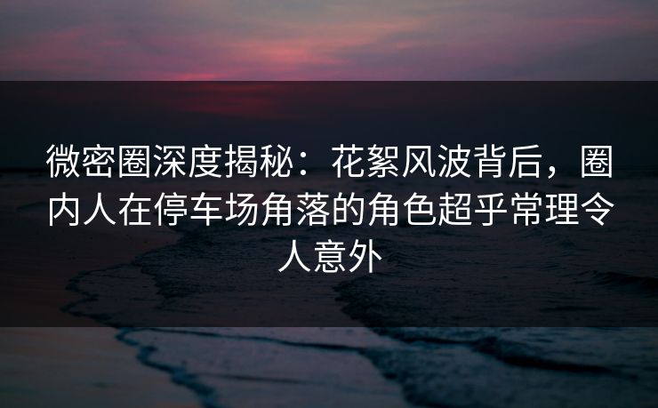 微密圈深度揭秘：花絮风波背后，圈内人在停车场角落的角色超乎常理令人意外
