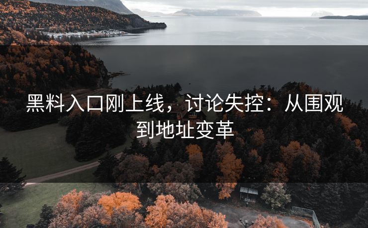 黑料入口刚上线，讨论失控：从围观到地址变革